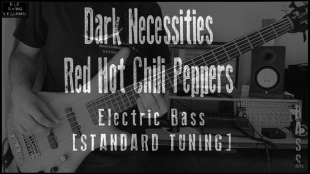 dark necessities bass cover lesson