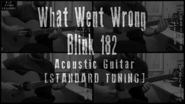 what went wrong acoustic cover lesson