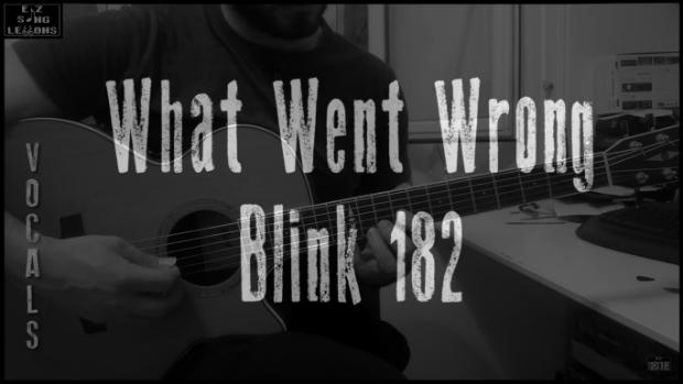 what went wrong vocals guitar lesson